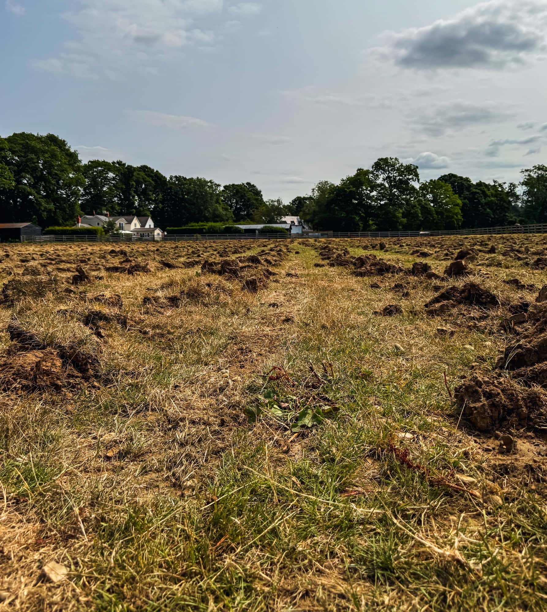 Sub soiled field