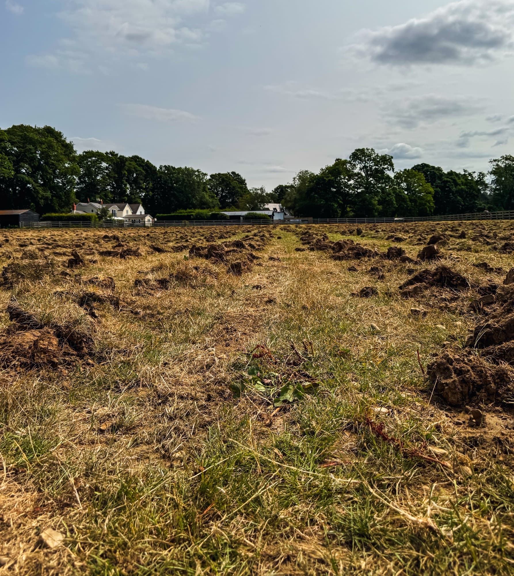Sub soiled field