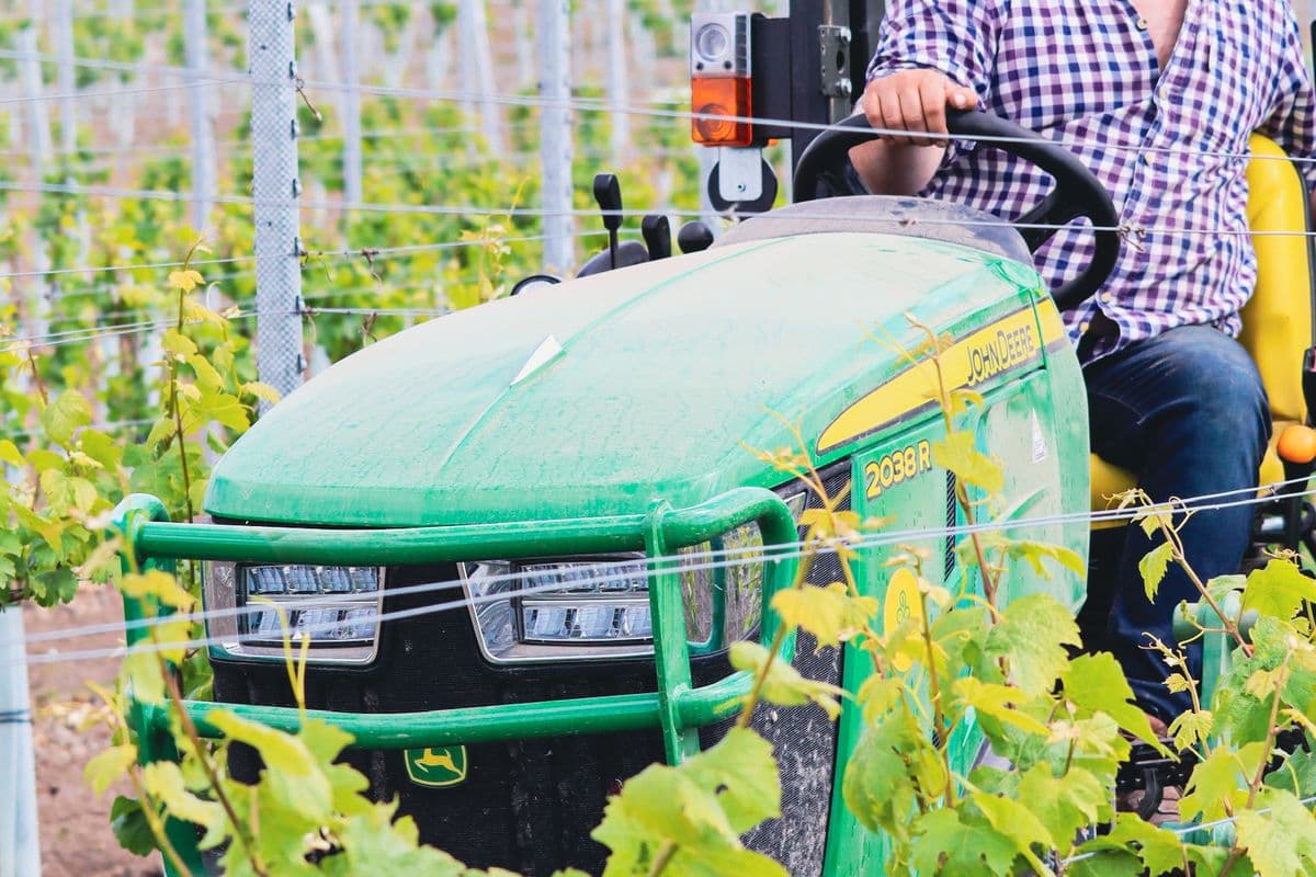 Stone burying and seeding Burcombe Estate Vineyard