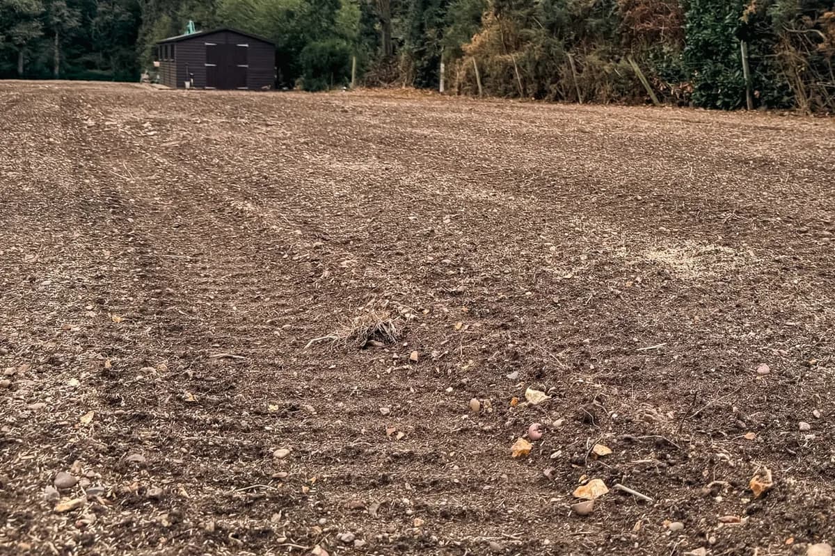 Stone buried field
