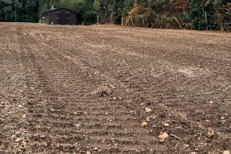 Stone buried field