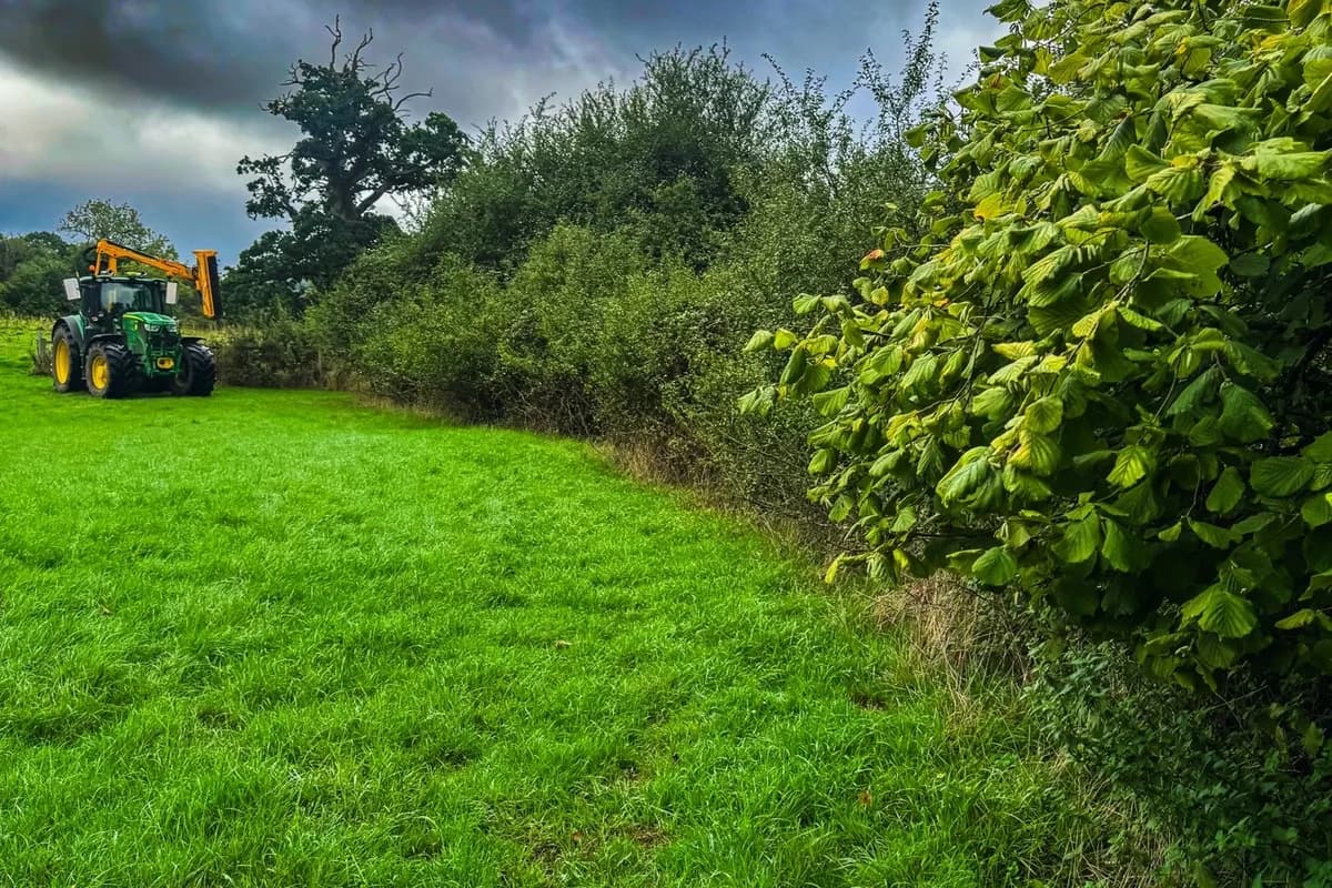 Overgrown hedge line dividing an East Meon paddock, with the hedge-cutting tractor working at the far end