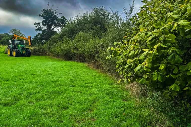 Overgrown hedge line dividing an East Meon paddock, with the hedge-cutting tractor working at the far end