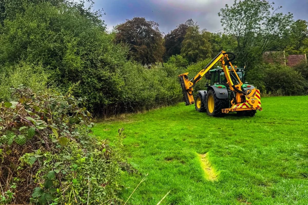 Tractor-mounted hedge cutter reaching into a tall overgrown hedge dividing an East Meon paddock under a dark sky