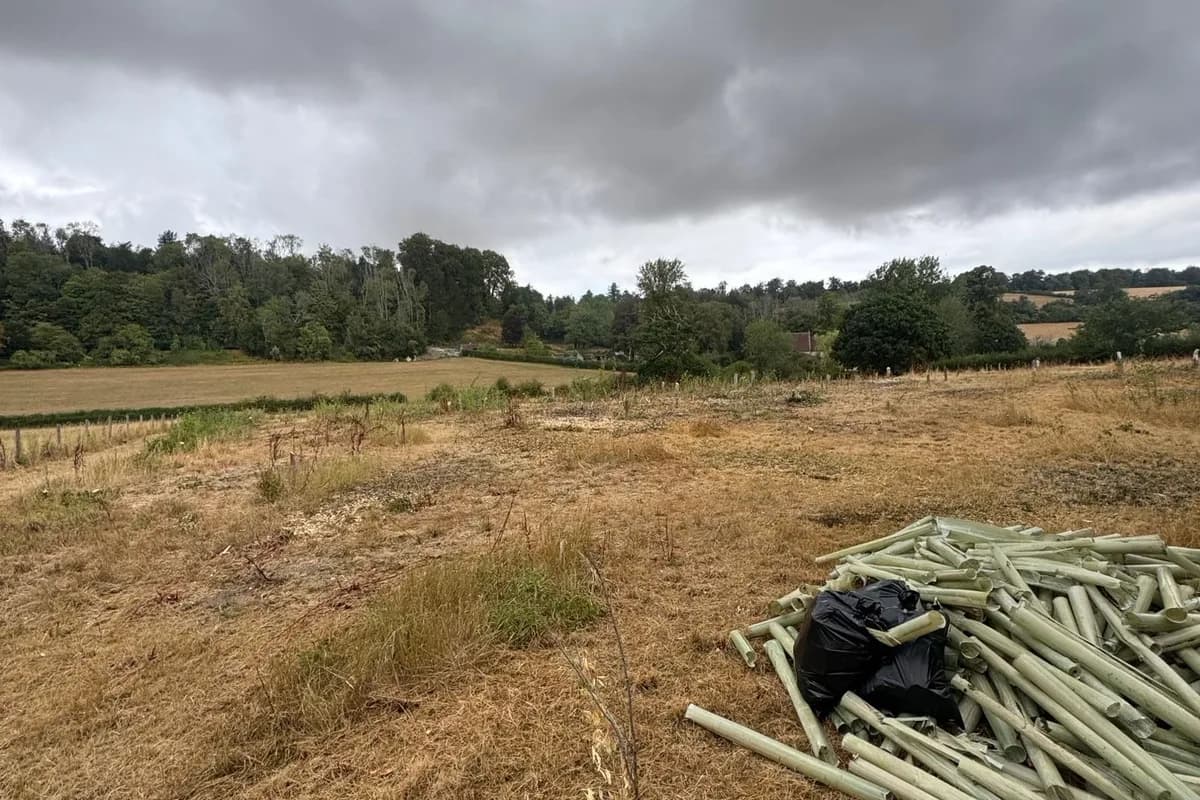 East Meon paddock cleared of more than 300 self-seeded trees, with a pile of collected tree guards and stakes