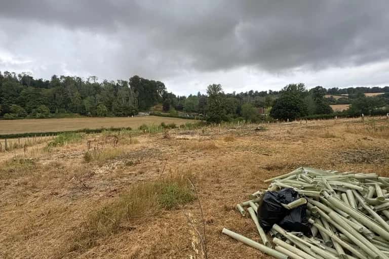 East Meon paddock cleared of more than 300 self-seeded trees, with a pile of collected tree guards and stakes