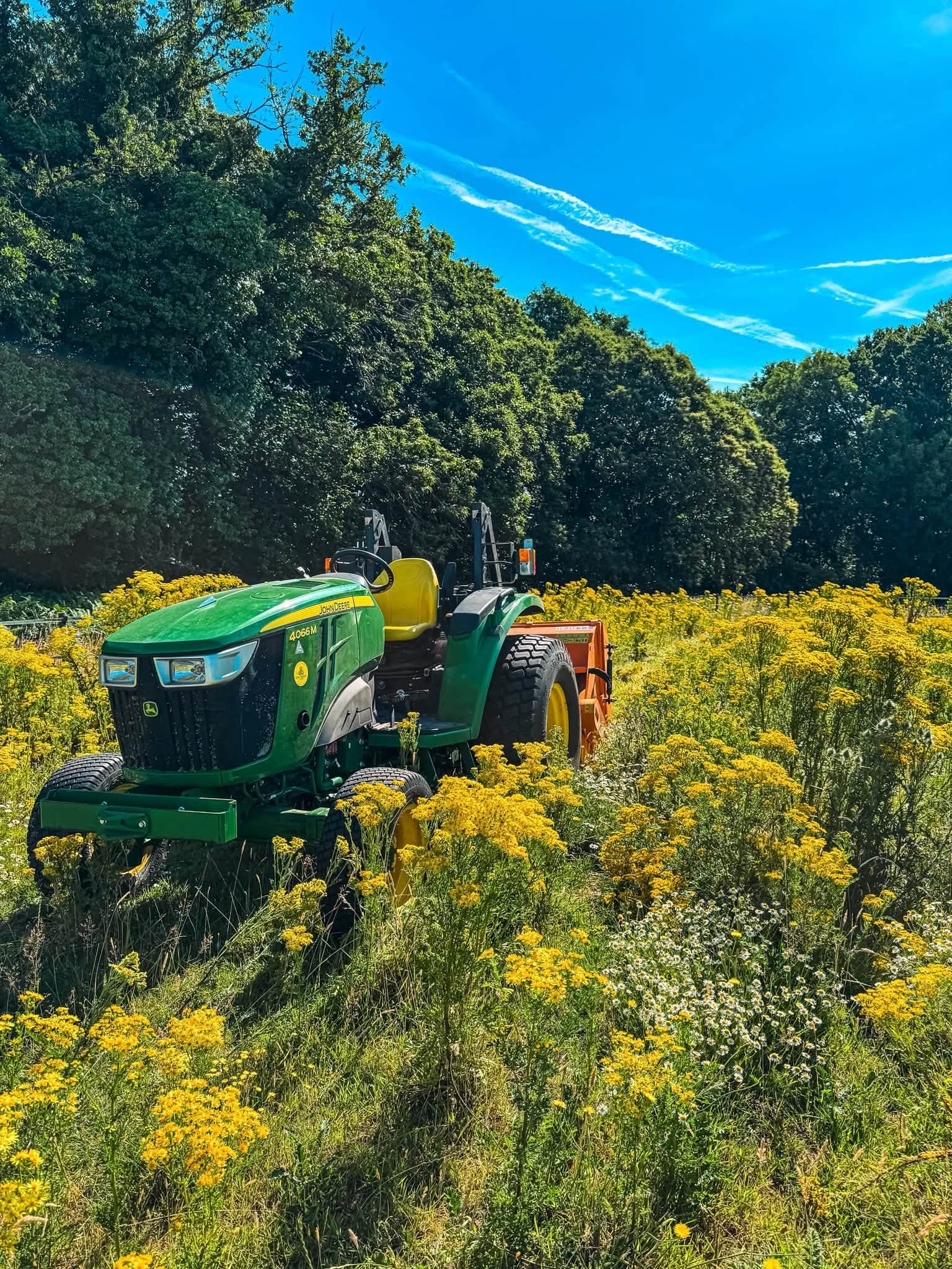 Flail collecting ragwort