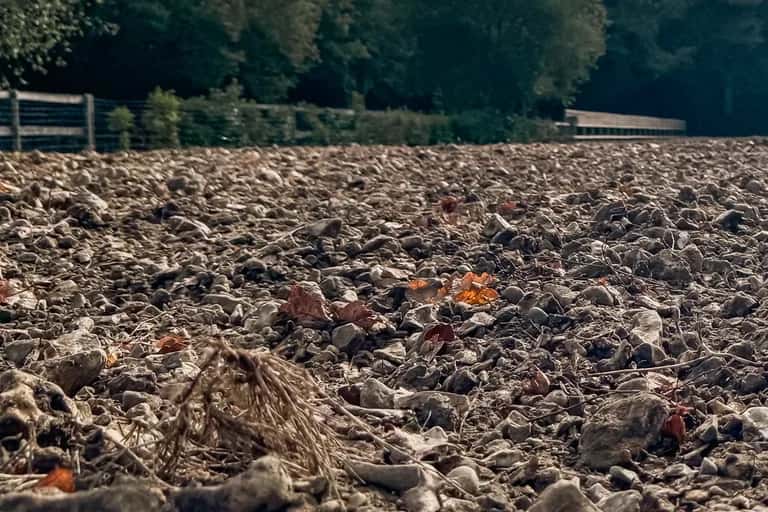 Stone saturated field